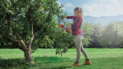 sécateur sur batterie GE-LS 18 Li-SOLO Einhell sécateur sur batterie GE-LS 18 Li-SOLO Einhell